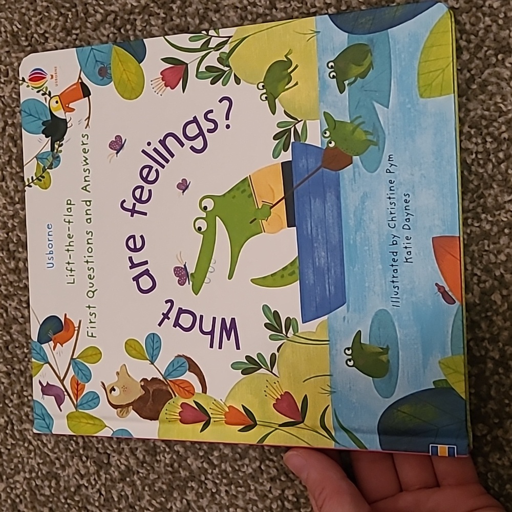 Lift A Flip-A-B-C-Numbers-Word-What are feelings?-Usburne-Kids books - Picture 8 of 9